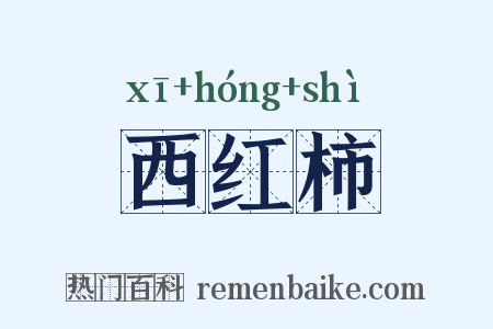 西红柿是什么意思的图片